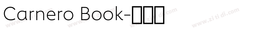 Carnero Book字体转换